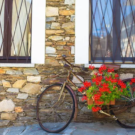 Alojamento de Acomodação e Pequeno-almoço Il Folletto Del Stresa