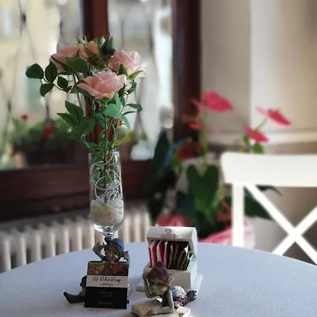 Il Folletto Del Stresa